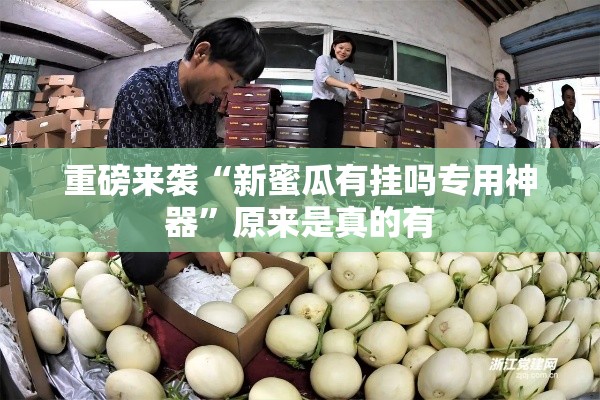 重磅来袭“新蜜瓜有挂吗专用神器	”原来是真的有