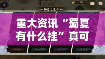 重大资讯“蜀夏有什么挂”真可以装挂