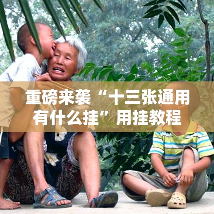 重磅来袭“十三张通用有什么挂”用挂教程