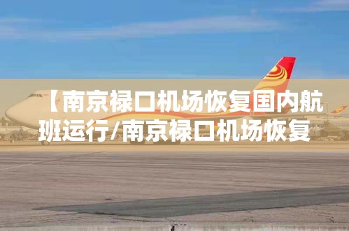 【南京禄口机场恢复国内航班运行/南京禄口机场恢复国内航班运行最新消息】 【南京禄口机场恢复国内航班运行/南京禄口机场恢复国内航班运行最新消息】