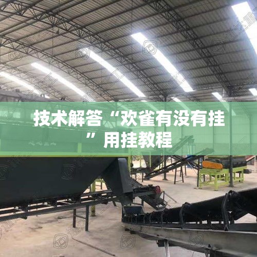 技术解答“欢雀有没有挂”用挂教程