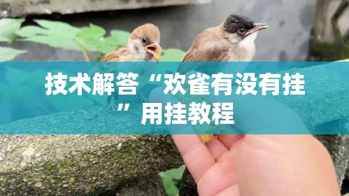 技术解答“欢雀有没有挂	”用挂教程