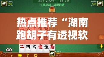 热点推荐“湖南跑胡子有透视软件吗”开挂方法