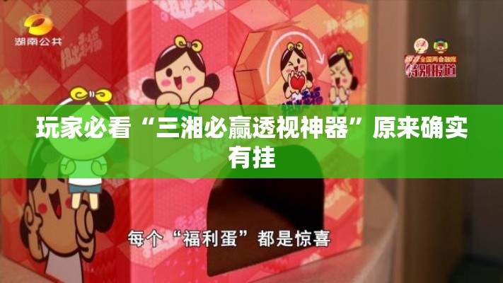 玩家必看“三湘必赢透视神器	”原来确实有挂