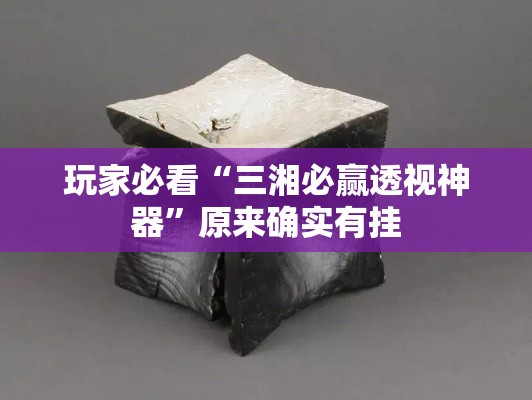 玩家必看“三湘必赢透视神器”原来确实有挂