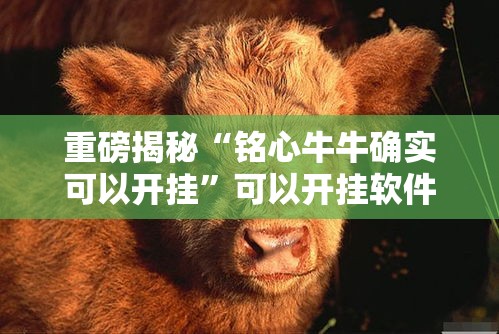 重磅揭秘“铭心牛牛确实可以开挂”可以开挂软件