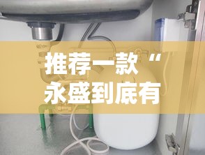 推荐一款“永盛到底有没有开挂器”分享详细开挂教程