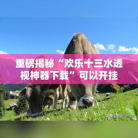 重磅揭秘“欢乐十三水透视神器下载”可以开挂