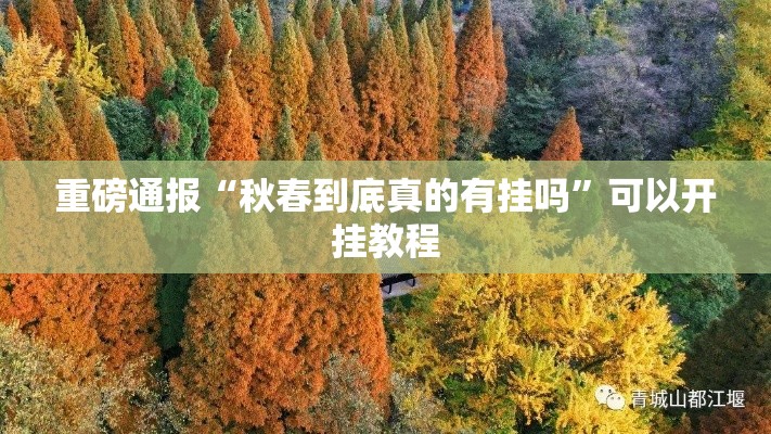 重磅通报“秋春到底真的有挂吗”可以开挂教程
