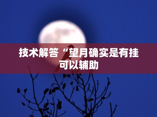 技术解答“望月确实是有挂可以辅助 技术解答“望月确实是有挂可以辅助