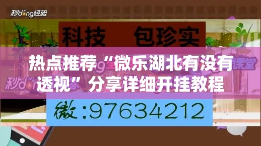 热点推荐“微乐湖北有没有透视	”分享详细开挂教程