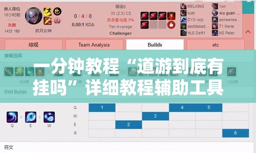 一分钟教程“道游到底有挂吗”详细教程辅助工具