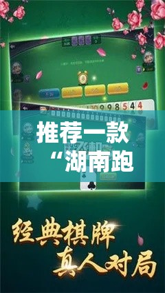 推荐一款“湖南跑胡子究竟能不能开挂”开挂详细教程