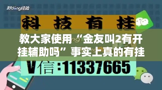 教大家使用“金友叫2有开挂辅助吗”事实上真的有挂