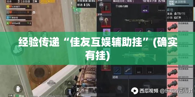 经验传递“佳友互娱辅助挂”(确实有挂)