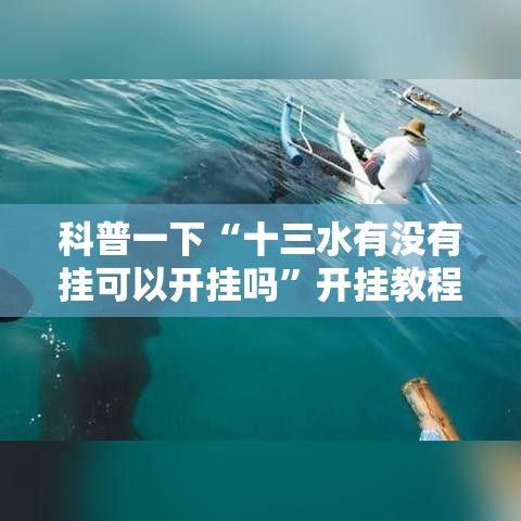 科普一下“十三水有没有挂可以开挂吗”开挂教程!