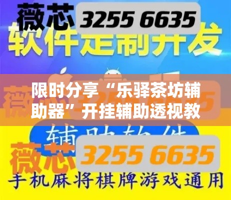 限时分享“乐驿茶坊辅助器”开挂辅助透视教程