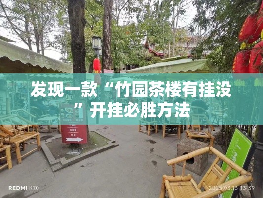 发现一款“竹园茶楼有挂没”开挂必胜方法