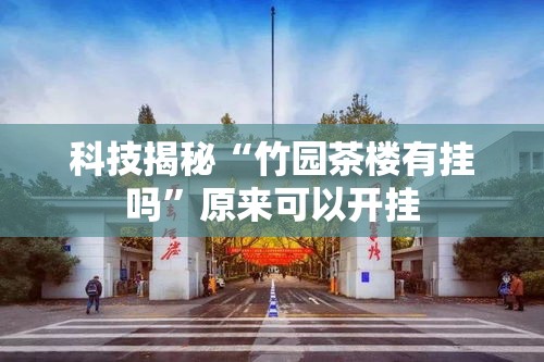 科技揭秘“竹园茶楼有挂吗”原来可以开挂