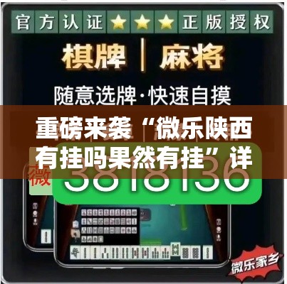 重磅来袭“微乐陕西有挂吗果然有挂”详细分享步骤