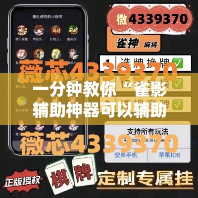 一分钟教你“雀影辅助神器可以辅助