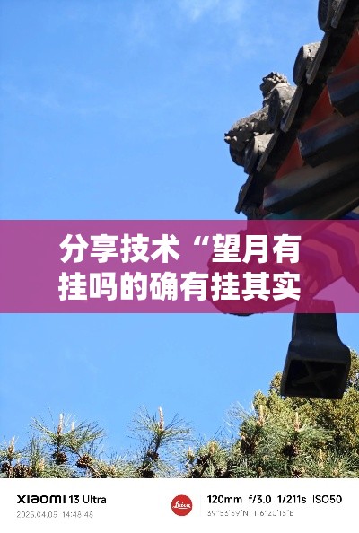 分享技术“望月有挂吗的确有挂其实可以装挂