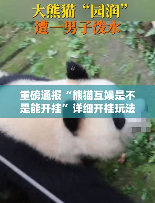 重磅通报“熊猫互娱是不是能开挂”详细开挂玩法