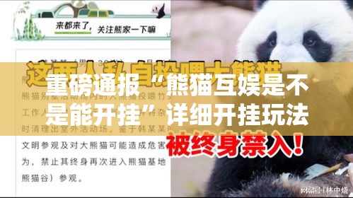 重磅通报“熊猫互娱是不是能开挂”详细开挂玩法