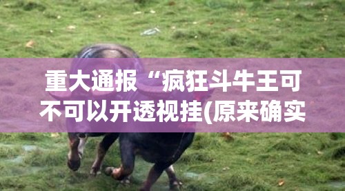 重大通报“疯狂斗牛王可不可以开透视挂(原来确实是有挂) 重大通报“疯狂斗牛王可不可以开透视挂(原来确实是有挂)