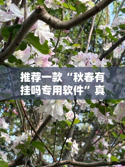 推荐一款“秋春有挂吗专用软件”真可以装挂