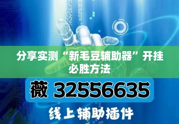 分享实测“新毛豆辅助器”开挂必胜方法