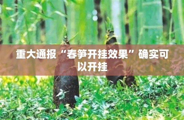 重大通报“春笋开挂效果	”确实可以开挂