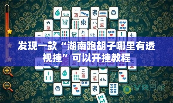 发现一款“湖南跑胡子哪里有透视挂”可以开挂教程