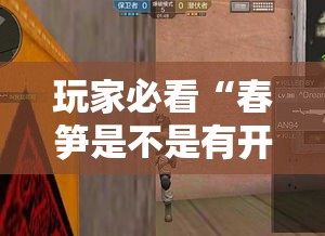 玩家必看“春笋是不是有开挂”开挂步骤方法