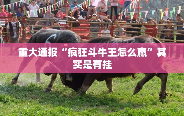 重大通报“疯狂斗牛王怎么赢”其实是有挂
