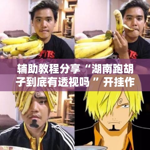 辅助教程分享“湖南跑胡子到底有透视吗 ”开挂作弊
