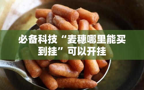 必备科技“麦穗哪里能买到挂”可以开挂