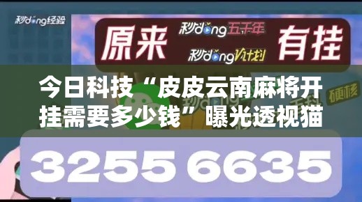 今日科技“皮皮云南麻将开挂需要多少钱”曝光透视猫腻