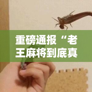 重磅通报“老王麻将到底真的有挂吗	”可以透视
