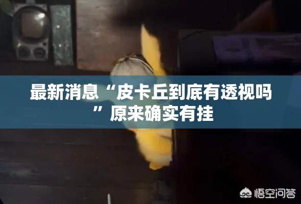 最新消息“皮卡丘到底有透视吗 ”原来确实有挂