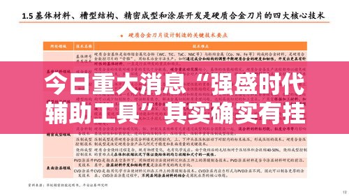 今日重大消息“强盛时代辅助工具”其实确实有挂
