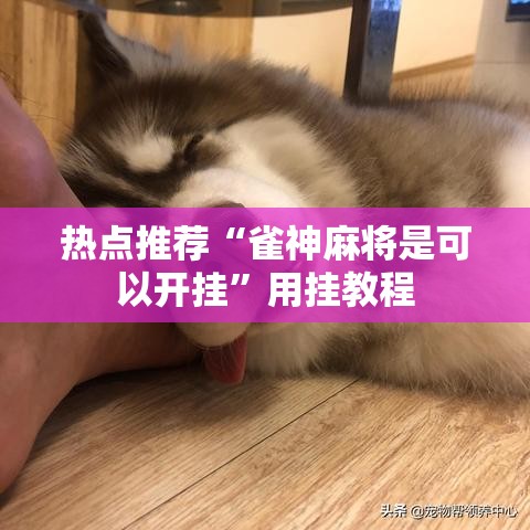 热点推荐“雀神麻将是可以开挂”用挂教程