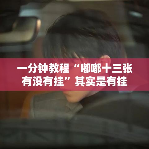 一分钟教程“嘟嘟十三张有没有挂”其实是有挂