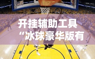 开挂辅助工具“冰球豪华版有挂吗的确有挂”真的确实有挂