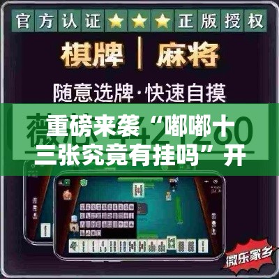 重磅来袭“嘟嘟十三张究竟有挂吗”开挂步骤方法