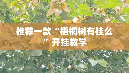 推荐一款“梧桐树有挂么”开挂教学
