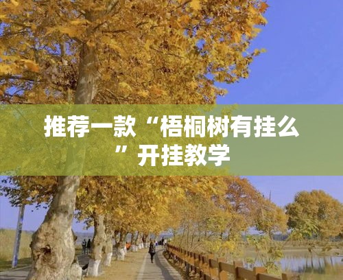 推荐一款“梧桐树有挂么	”开挂教学