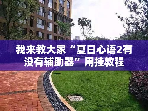 我来教大家“夏日心语2有没有辅助器”用挂教程