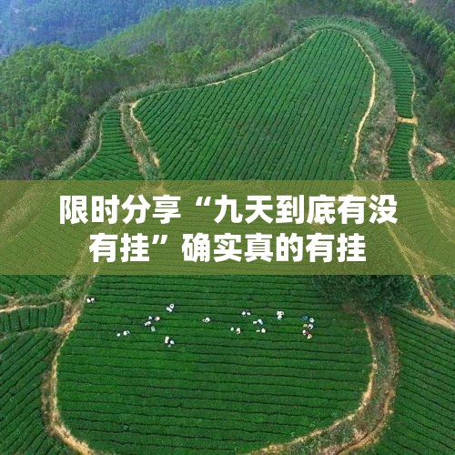 限时分享“九天到底有没有挂”确实真的有挂