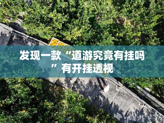 发现一款“道游究竟有挂吗”有开挂透视